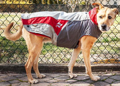 Dog Helios ® Lotus-Rusher 2-in-1 Dual-Removable Layered Performance Dog Jacket