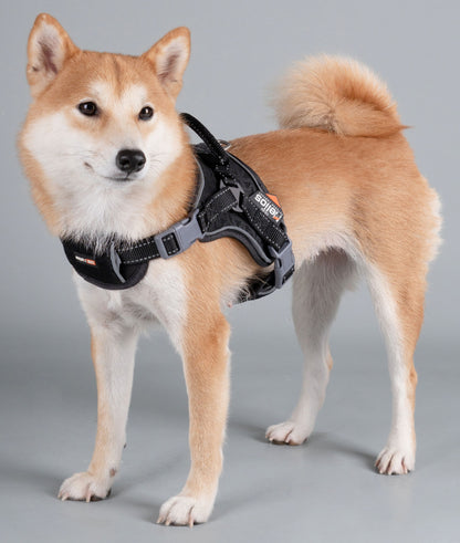 Dog Helios ® 'Scorpion' Sporty High-Performance Free-Range Dog Harness