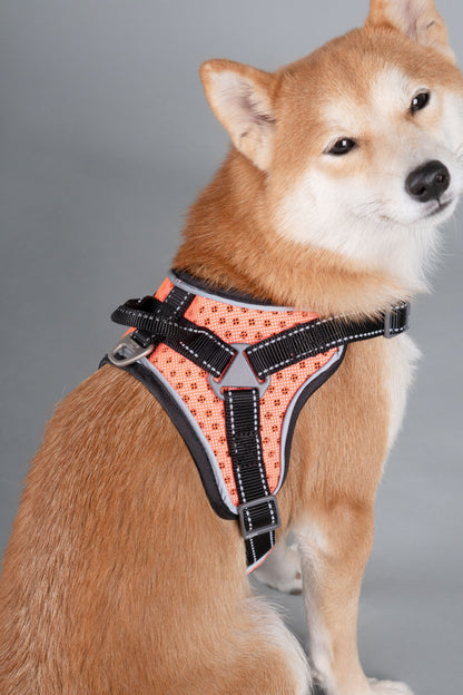 Dog Helios ® 'Scorpion' Sporty High-Performance Free-Range Dog Harness