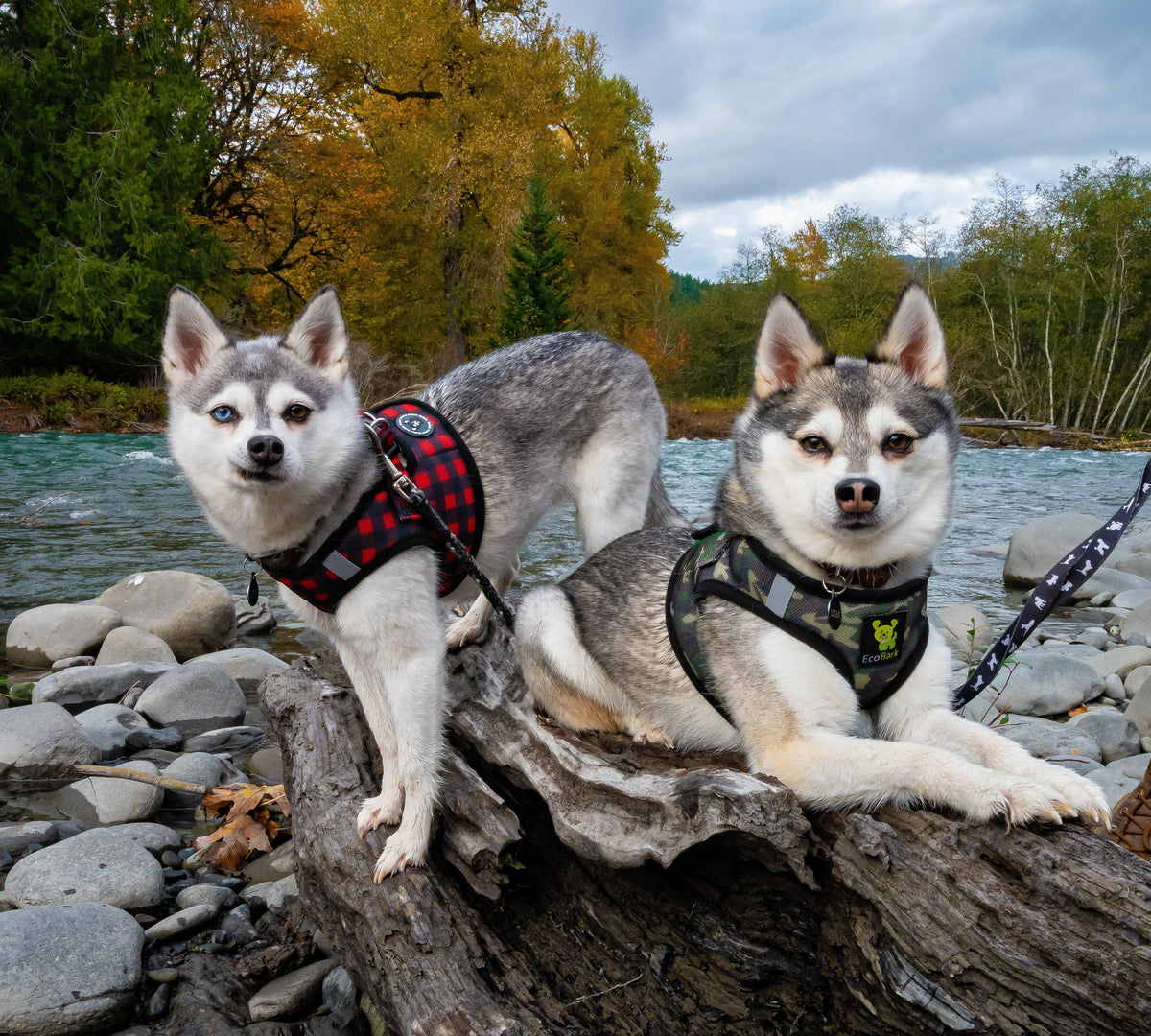 EcoBark Step In Dog Harness - Teacup & Small Breeds- Reflective Soft Mesh Harness for Teacup, Small Dogs and Puppies / Camouflage