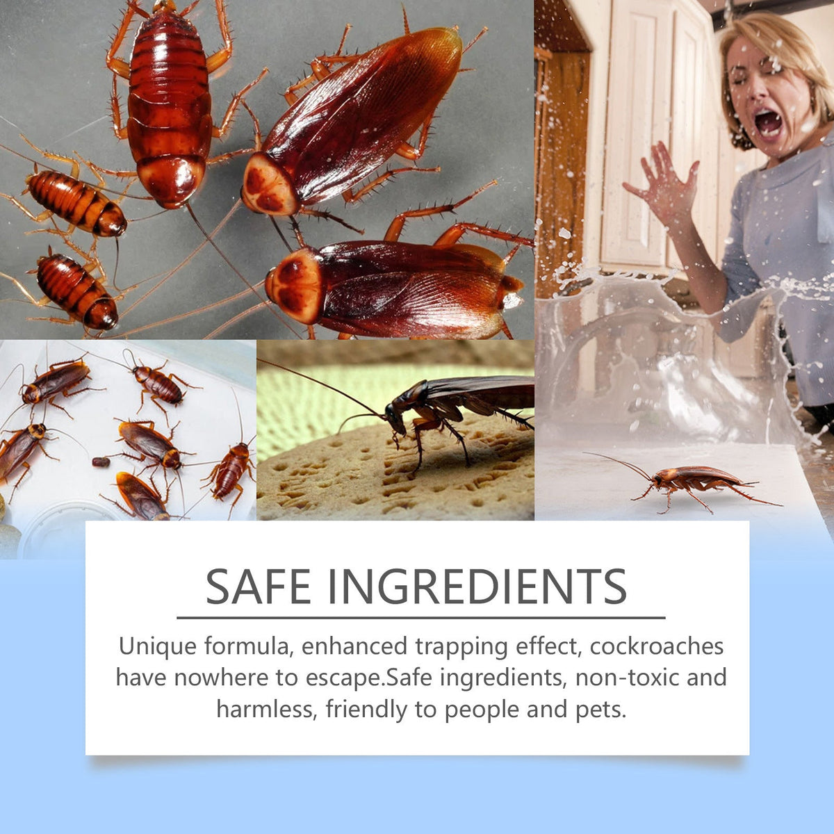 Jue Fish Cockroach Bait Sticker 8 Pack – Imidacloprid Roach Trap for Indoor Use
