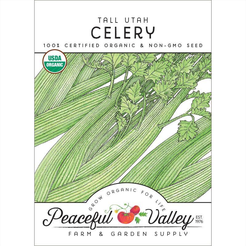 Tall Utah Celery Seeds (Organic)