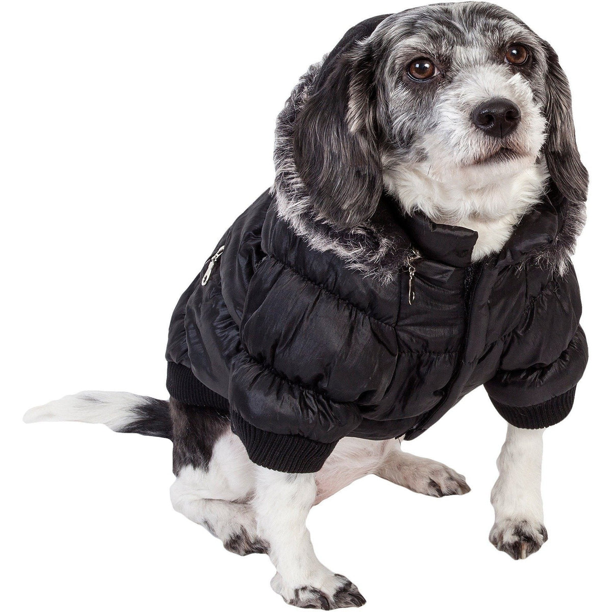 Pet Life ® Classic Metallic Fashion 3M Insulated Dog Coat Parka  w/ Removable Hood