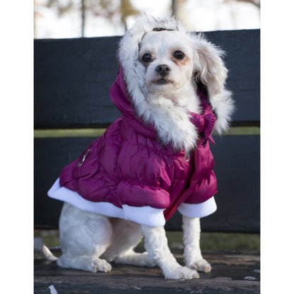 Pet Life ® Classic Metallic Fashion 3M Insulated Dog Coat Parka  w/ Removable Hood