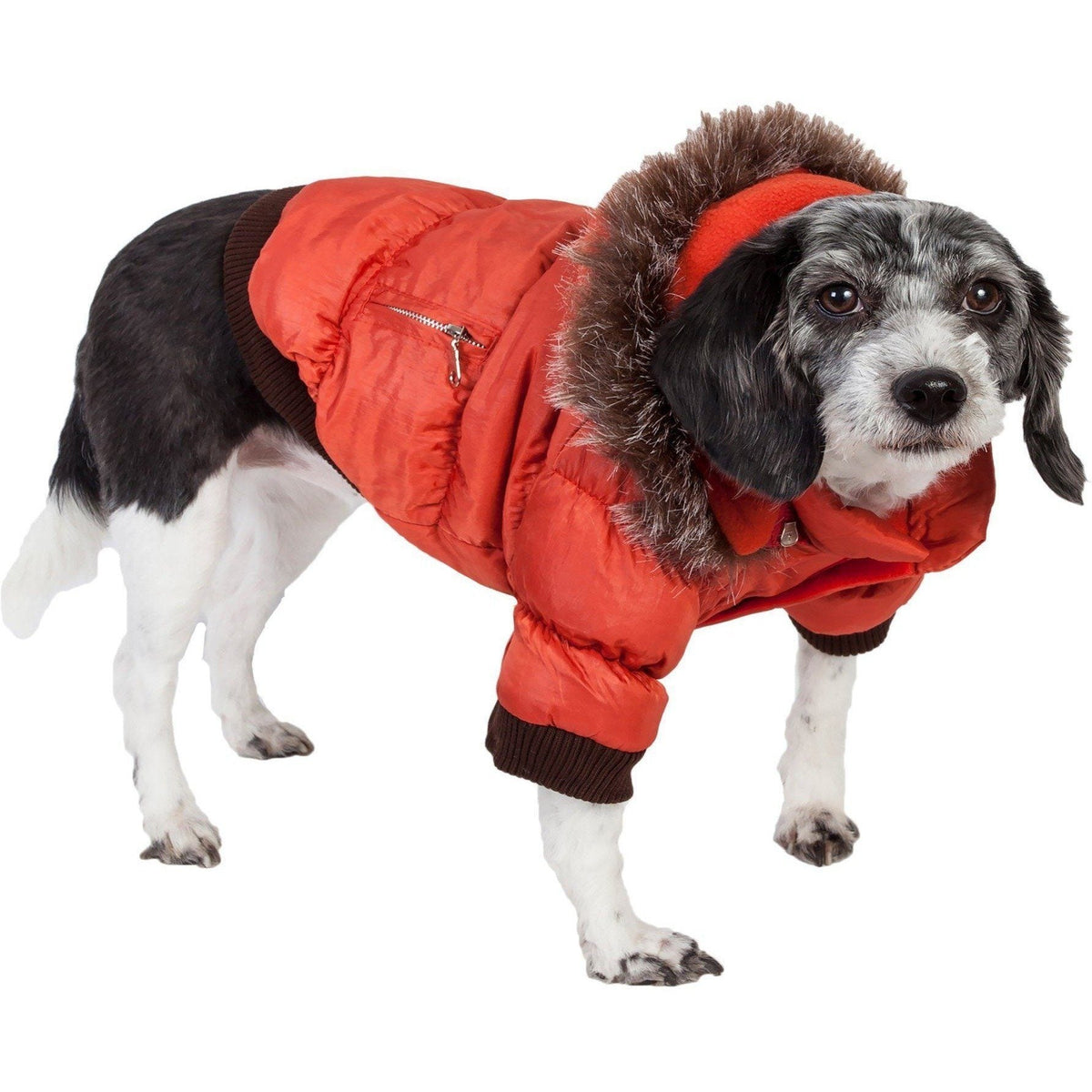 Pet Life ® Classic Metallic Fashion 3M Insulated Dog Coat Parka  w/ Removable Hood