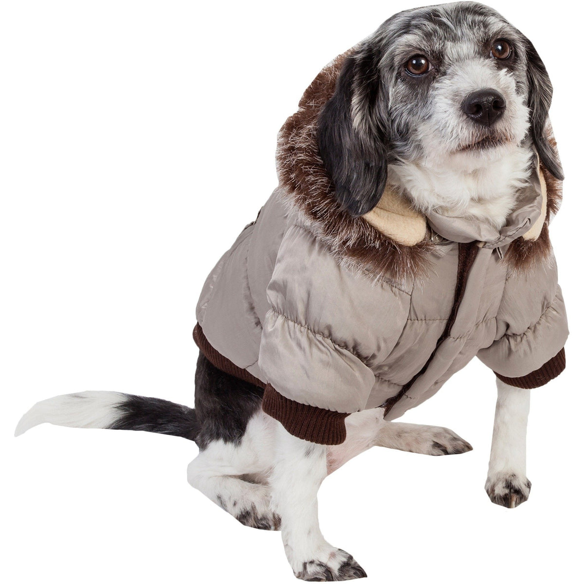 Pet Life ® Classic Metallic Fashion 3M Insulated Dog Coat Parka  w/ Removable Hood