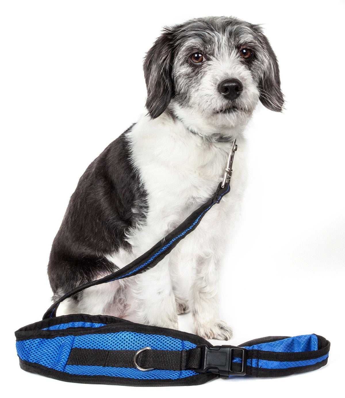 Pet Life ® 'Echelon' Hands Free and Convertible 2-In-1 Training Pet Dog Leash and Pet Belt Trainer
