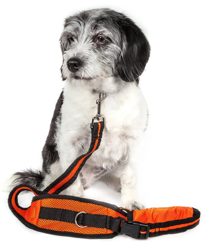 Pet Life ® 'Echelon' Hands Free and Convertible 2-In-1 Training Pet Dog Leash and Pet Belt Trainer