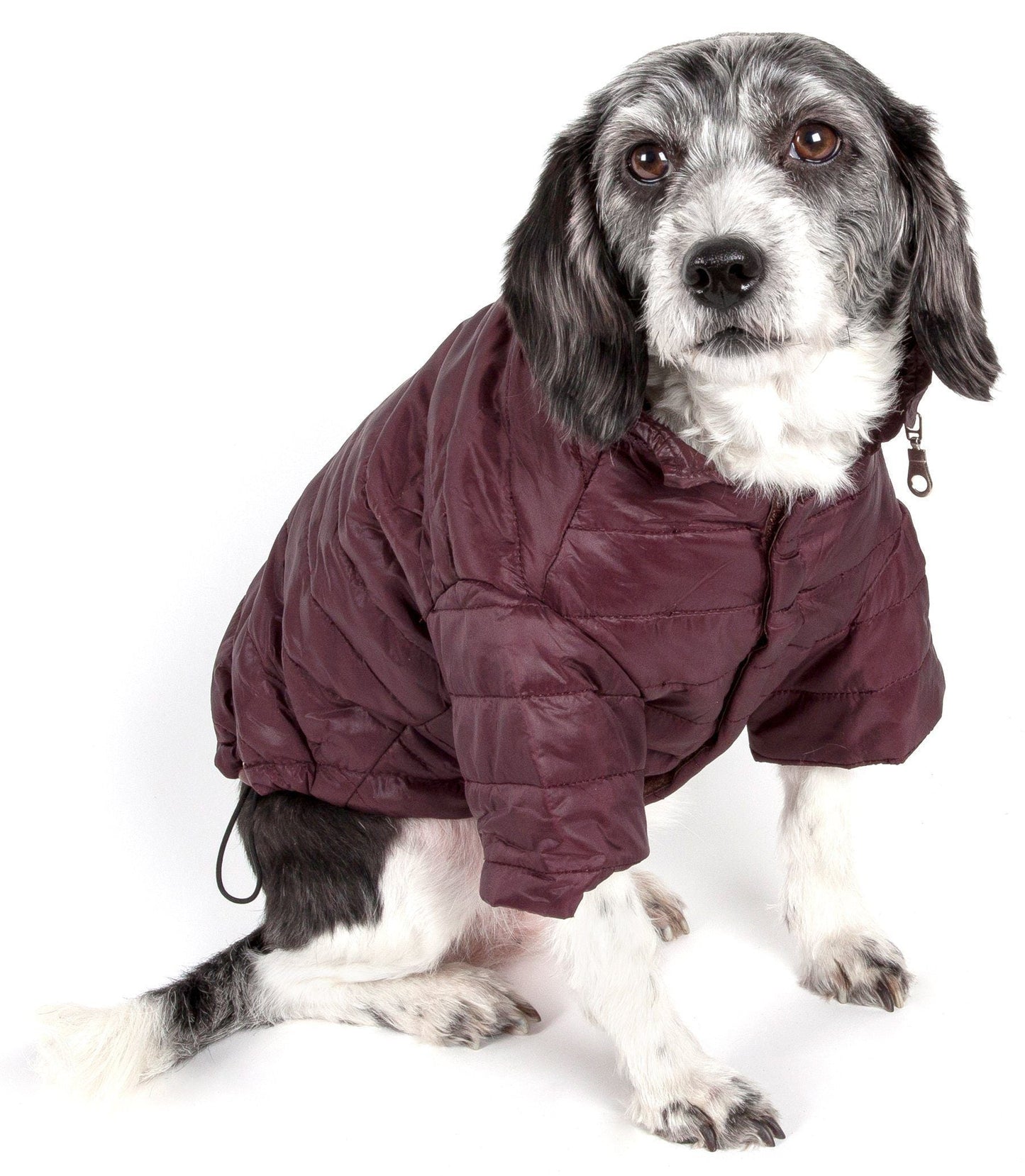 Pet Life ® Lightweight Adjustable and Collapsible 'Sporty Avalanche' Dog Coat w/ Pop-out Zippered Hood