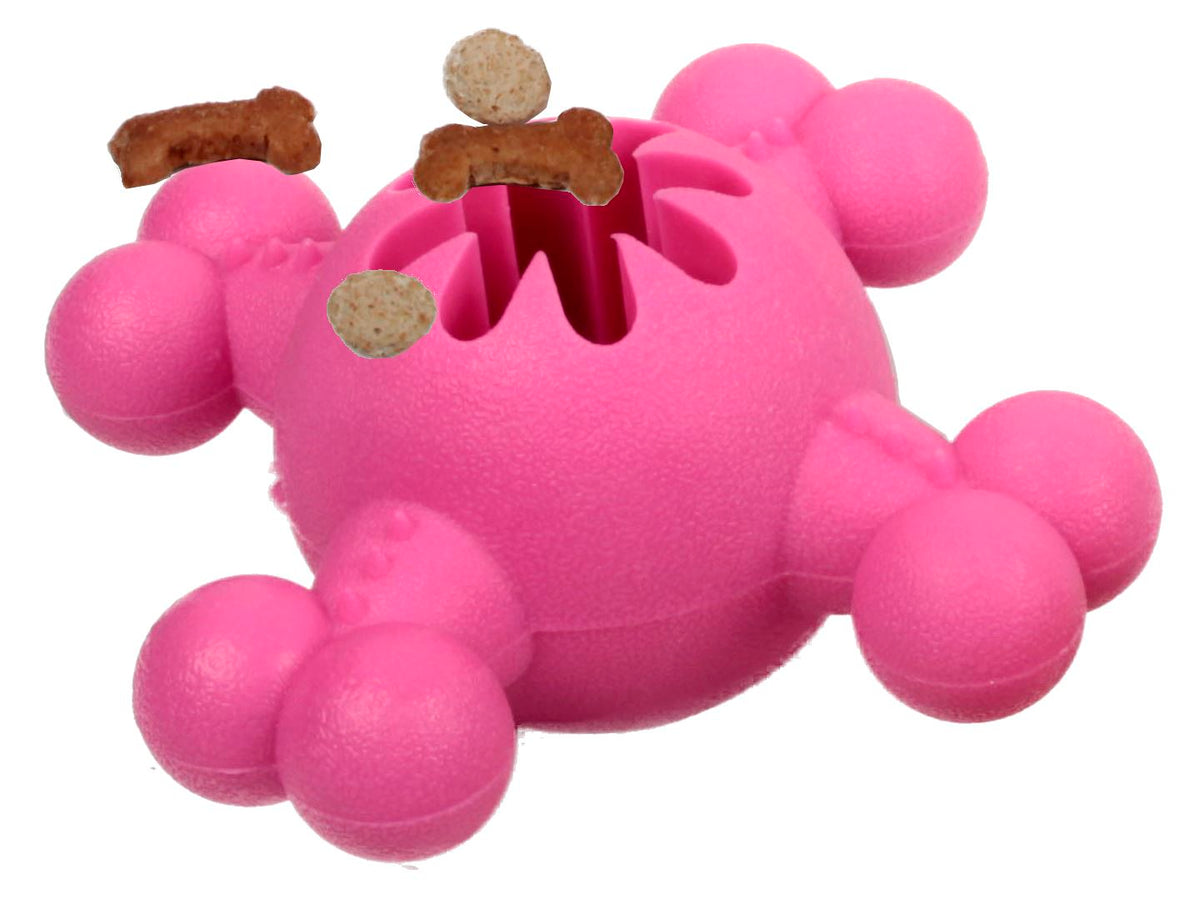 Pet Life ® 'Quadra-Bone' TPR Treat Dispensing Durable Dog Toy