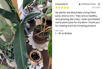 Plant Juice