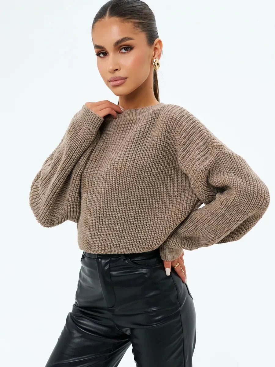 Shreya Sweater Women Stay Warm in Style