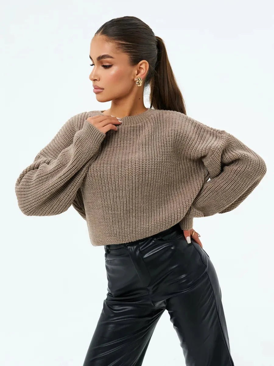 Shreya Sweater Women Stay Warm in Style