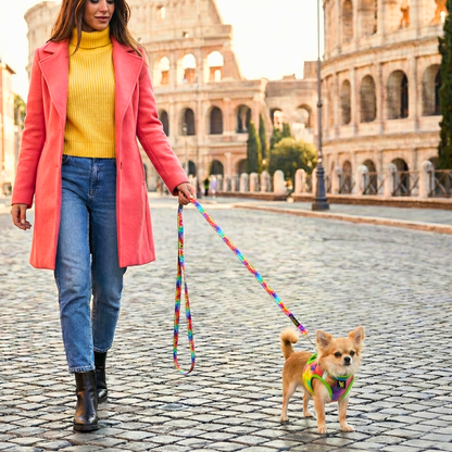 EcoBark Step In Dog Harness - Teacup & Small Breeds- Reflective Soft Mesh Harness for Teacup, Small Dogs and Puppies / Tie-dye