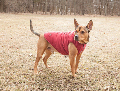 Touchdog ® Waggin Swag Ultra-Plush Insulated and Reversible Dog Coat